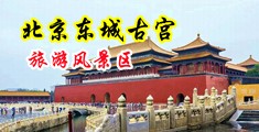 高中生草逼视频中国北京-东城古宫旅游风景区